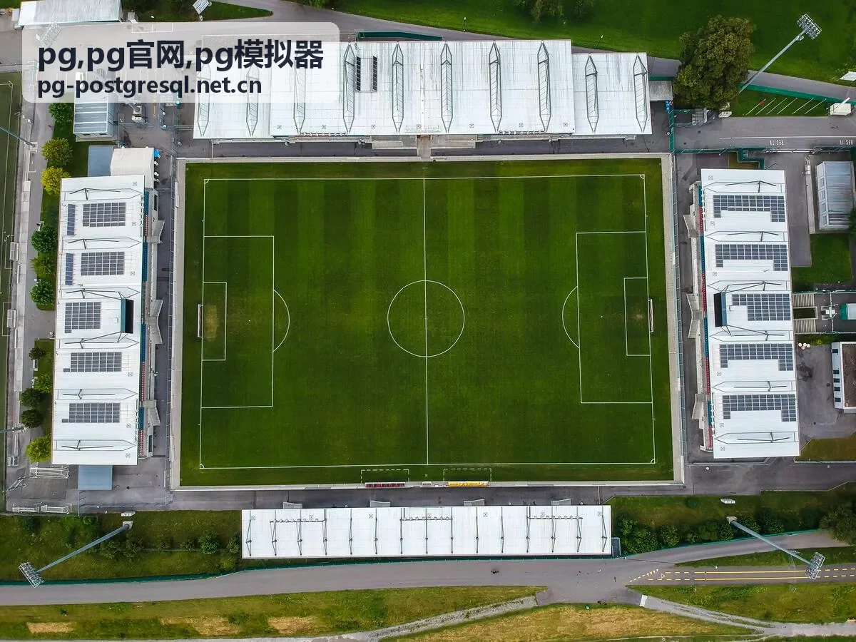 开发团队使用 PG 模拟器进行单元测试